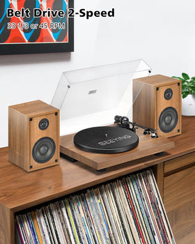 SeeYing record player built-in preamp and RCA outputs for versatile speaker setups