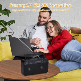 SEMIER radio side connection showing versatile inputs for USB/AUX playback