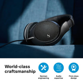 HD 550 ideal for remote work with clear audio.