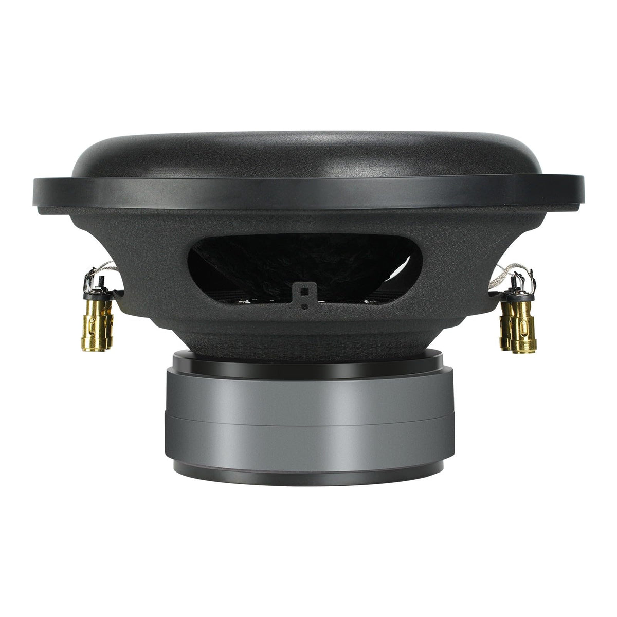 Seventour 10-inch dual 4-ohm magnet assembly highlighting power handling capabilities.
