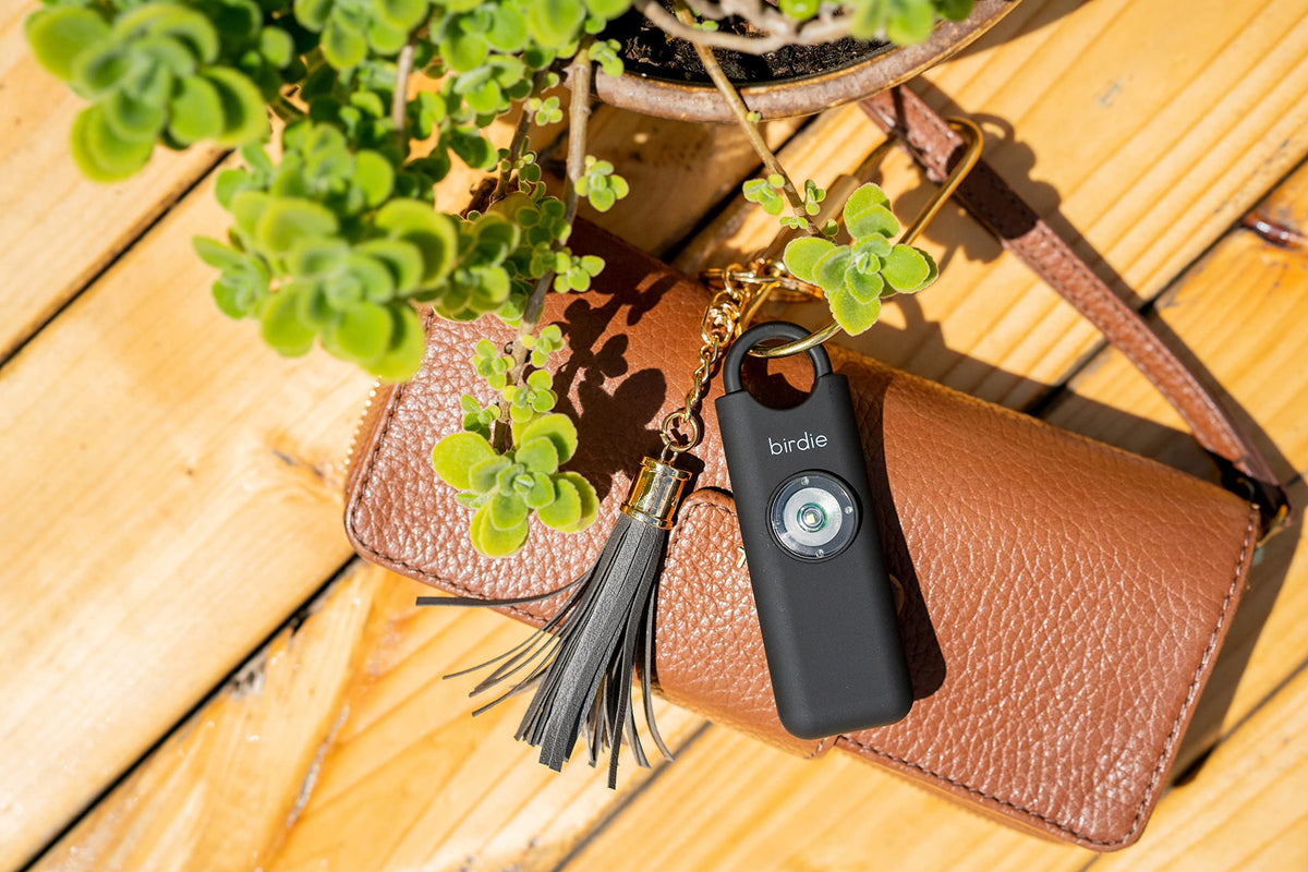 She’s Birdie charcoal clipped inside backpack zipper showing accessible carry benefit