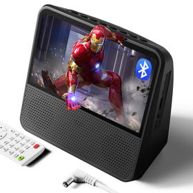 SHIWAKOTO 9.8-inch portable DVD player front view with crisp 1024×600 display for travel entertainment.