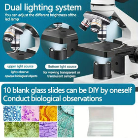 sino optical prepared slide closeup showing specimen detail for classroom demonstration