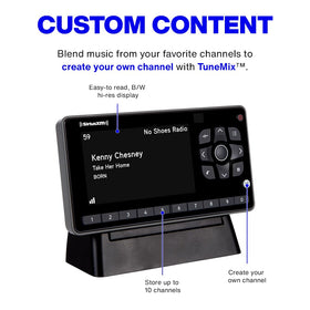 SiriusXM Onyx EZR two display modes for comfortable viewing in various lighting.