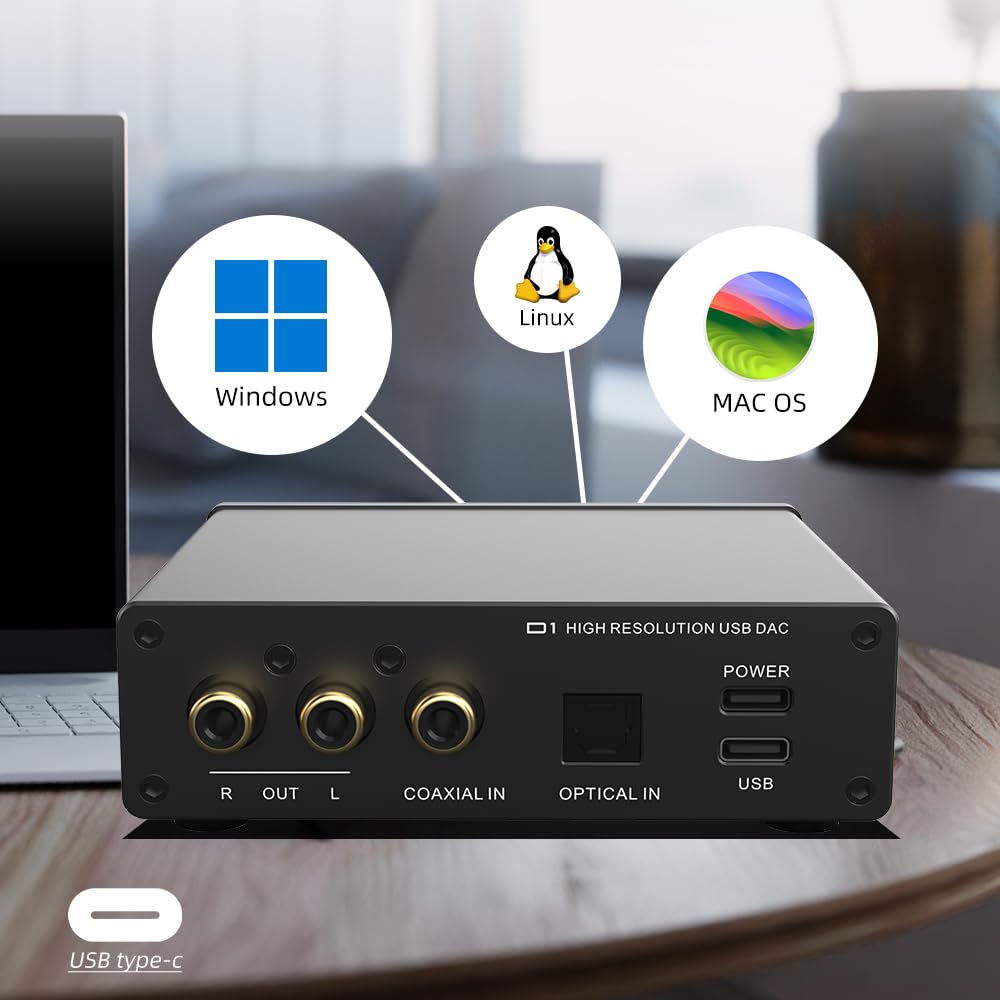 SMSL D1 back ports show versatile connectivity with optical, coaxial, USB-C, and RCA outputs.
