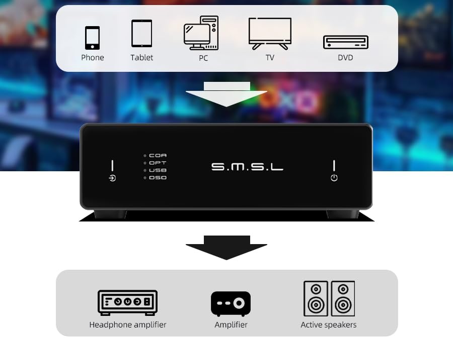SMSL D1 rear ports highlighting USB, optical, and coaxial connections