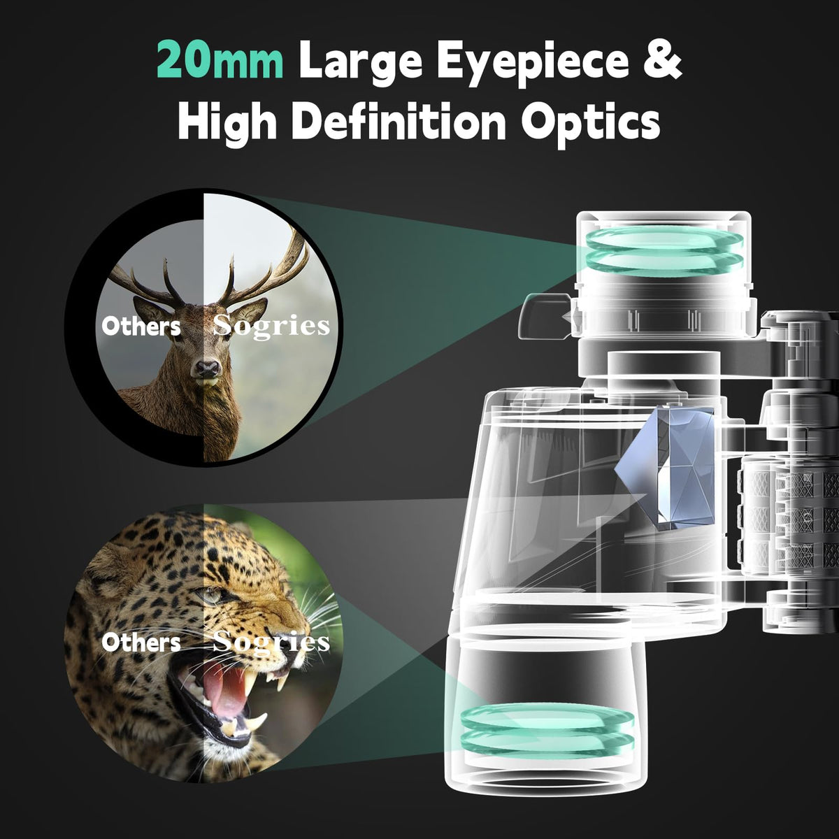 Sogries 12x50 binoculars with BAK4 prisms sharpen distant subjects