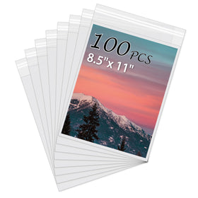 Somime acid-free sleeves for 8.5x11 art prints protect colors while remaining crystal clear.