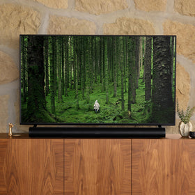 Sonos Arc Gen 1 black voice-control for hands-free operation.