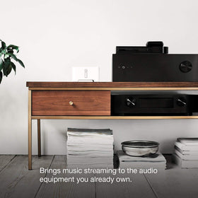 Sonos Connect illustrating analog and digital outputs for existing speakers.