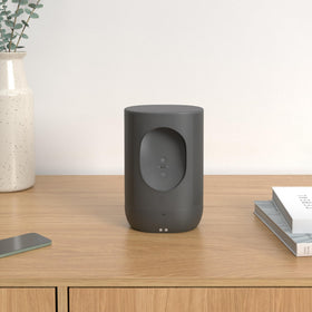 Sonos Move durable shock-resistant design suitable for busy homes and travel