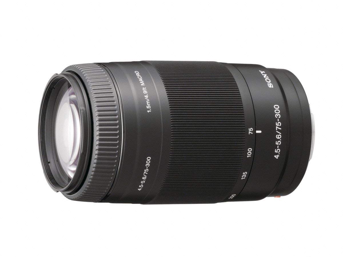 Sony 75-300mm telephoto zoom lens captures distant action with clear detail.