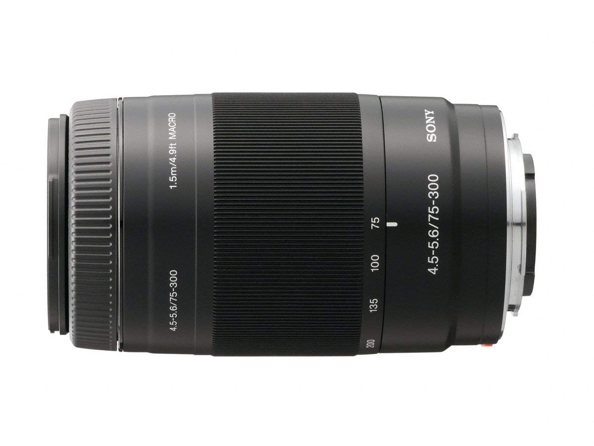Sony 75-300mm telephoto zoom lens delivers portrait-friendly bokeh and subject separation.