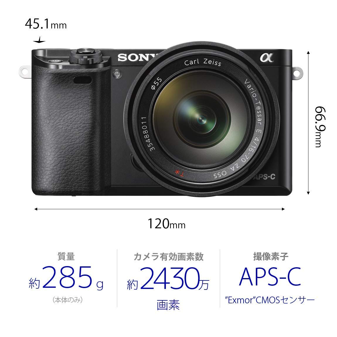 Sony Alpha a6000 24MP sensor detail for sharp daytime images
