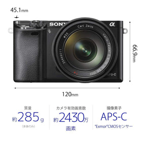 Sony Alpha a6000 24MP sensor detail for sharp daytime images