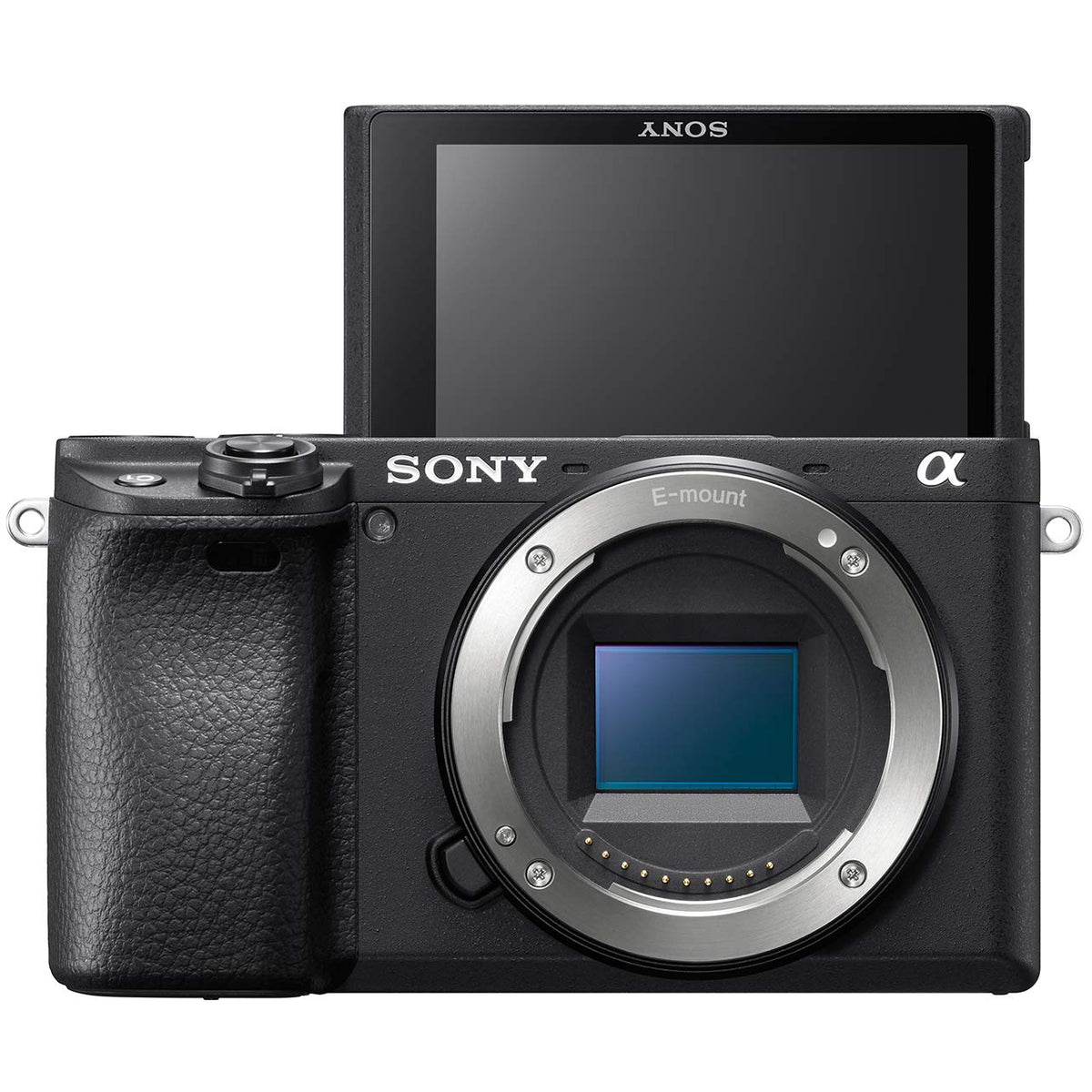 Sony a6400 Deco Gear bag keeps gear organized on trips.