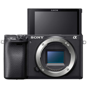 Sony a6400 Deco Gear bag keeps gear organized on trips.