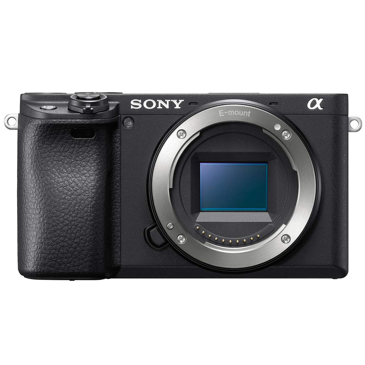 Sony a6400 Lexar 64GB SD card speeds up storage for shoots.