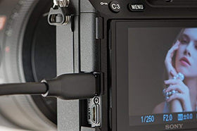 Sony a7 III with 4K HDR video capability for cinematic footage.