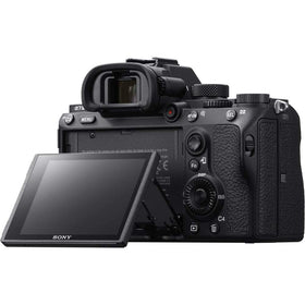 Sony a7 III 15-stop dynamic range captures rich textures