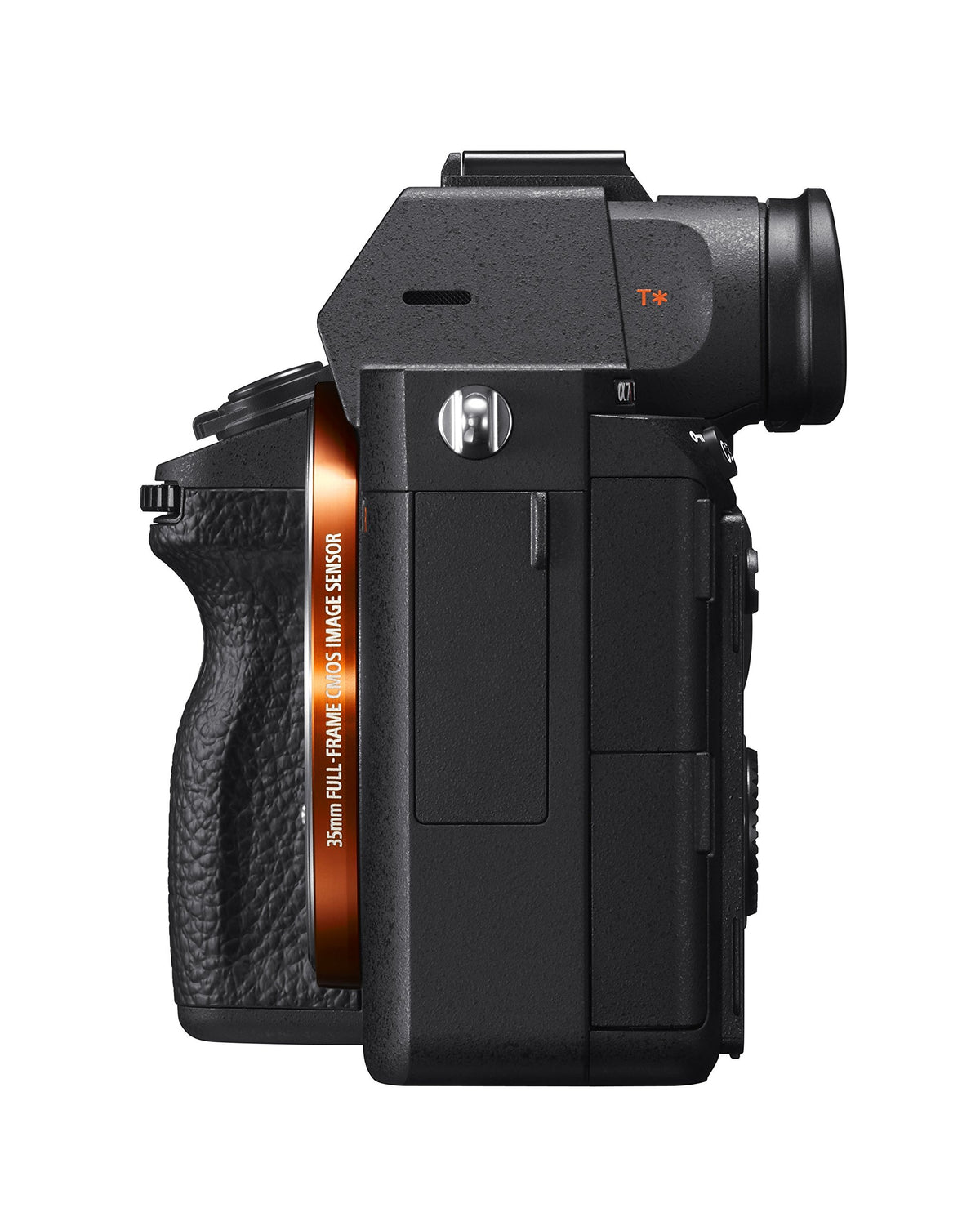 Sony A7R III Quad-VGA OLED finder delivers precise framing and contrast.