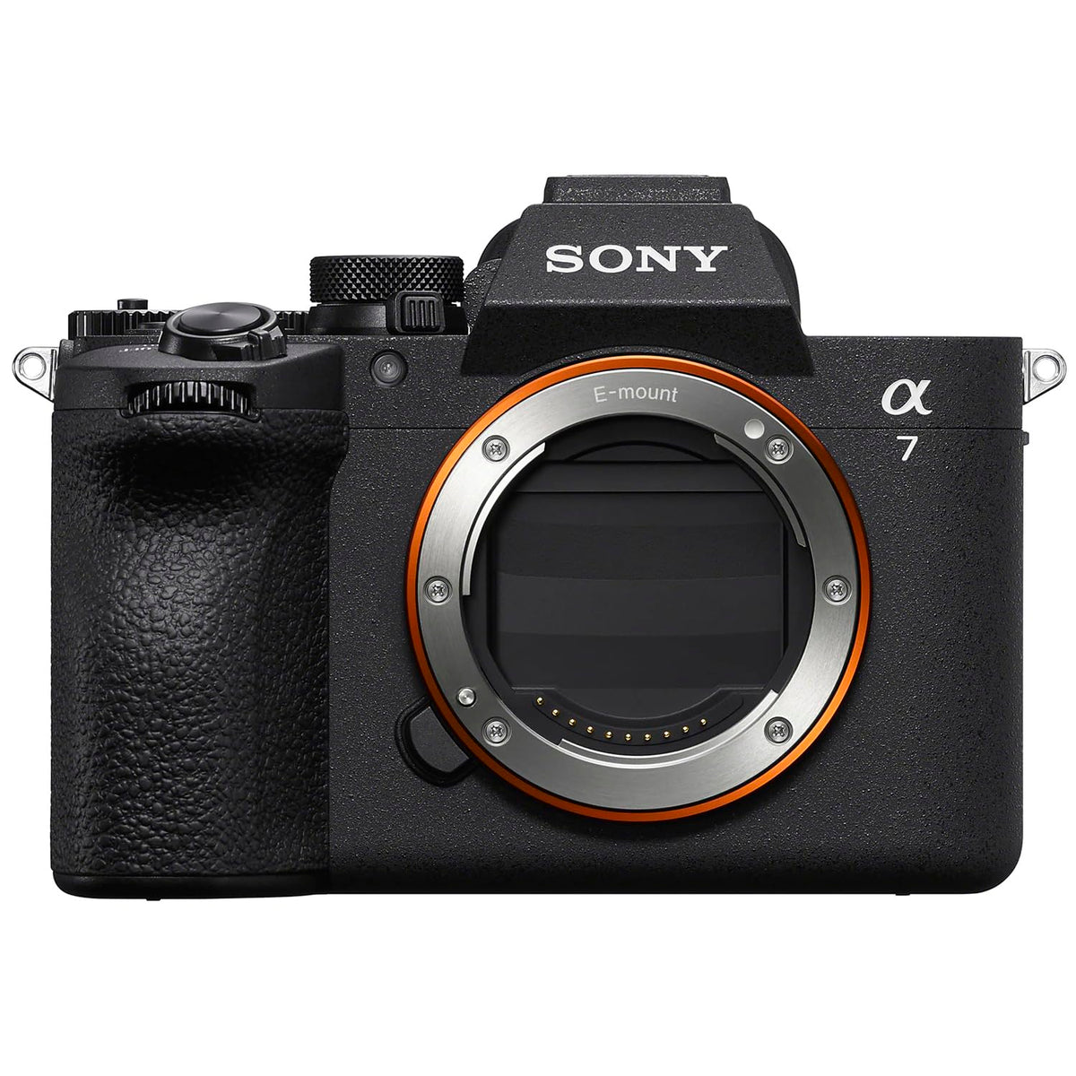 Sony A7 V 33MP sensor close-up revealing detail and dynamic range.