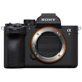 Sony A7 V 33MP sensor close-up revealing detail and dynamic range.