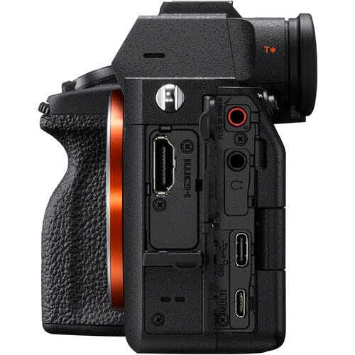 Sony Alpha 7 IV performing in low light with detailed results