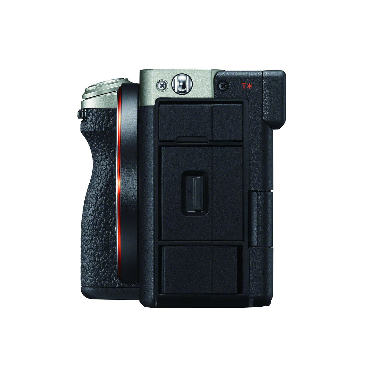 Sony Alpha 7C II 33MP Exmor R sensor captures rich detail.
