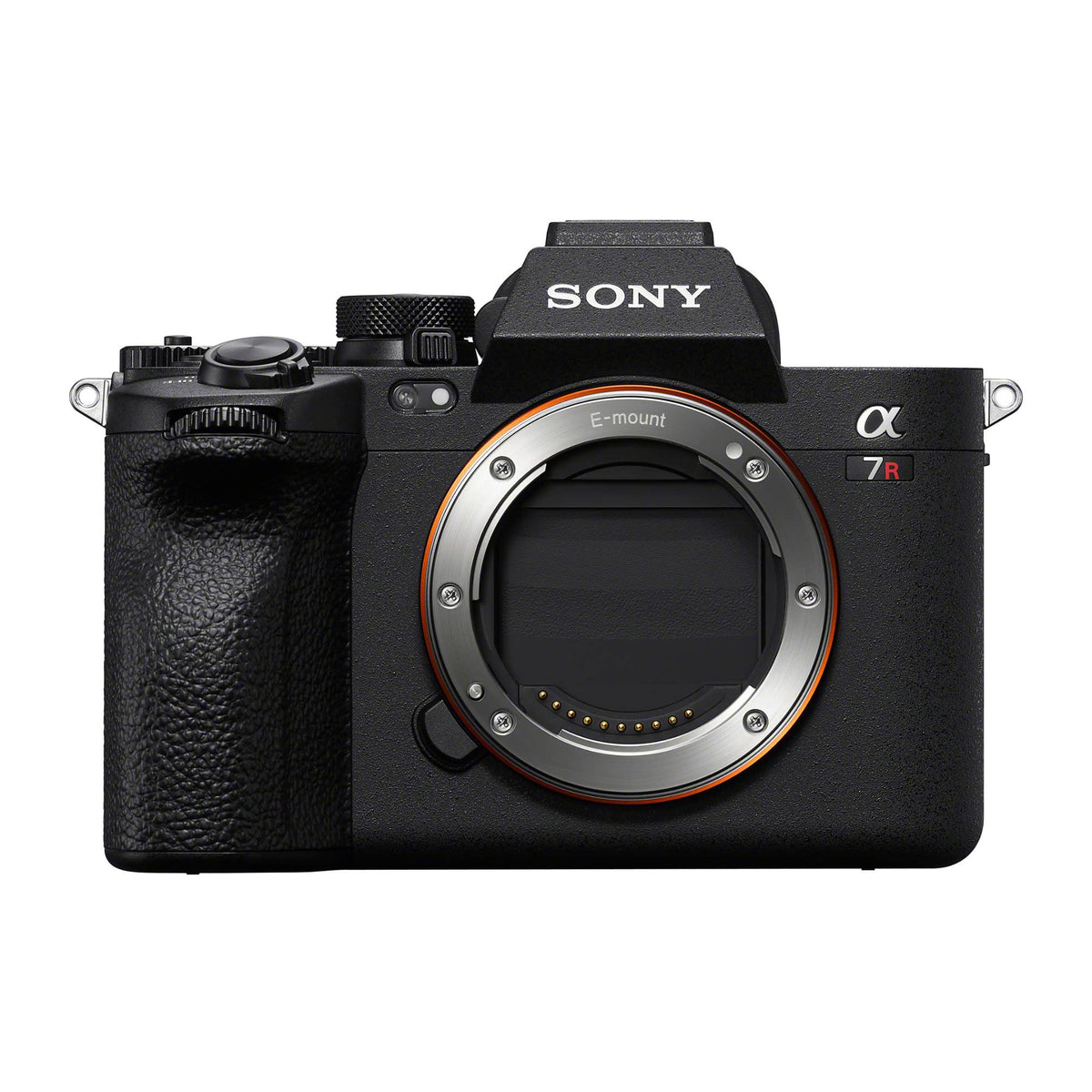 Sony Alpha 7R V 10fps with continuous AF/AE tracking captures fast action clearly.