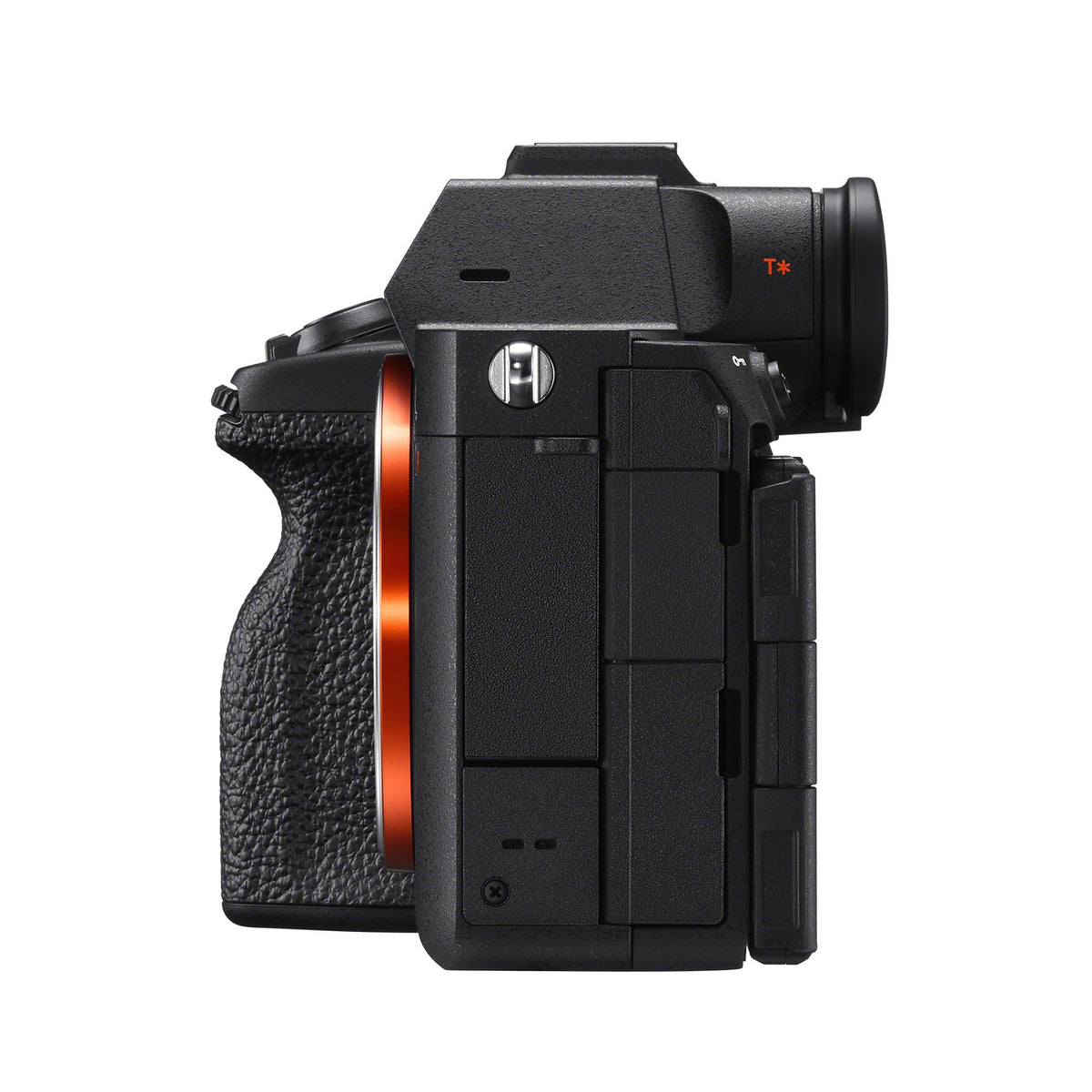 Sony Alpha 7R V 4K 60p video delivers cinematic storytelling with rich color.