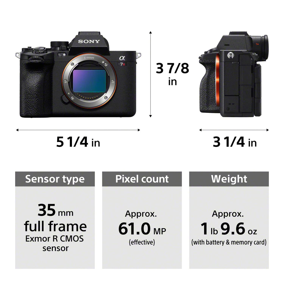 Sony Alpha 7R V BIONZ XR engine boosts processing speed for smoother performance.