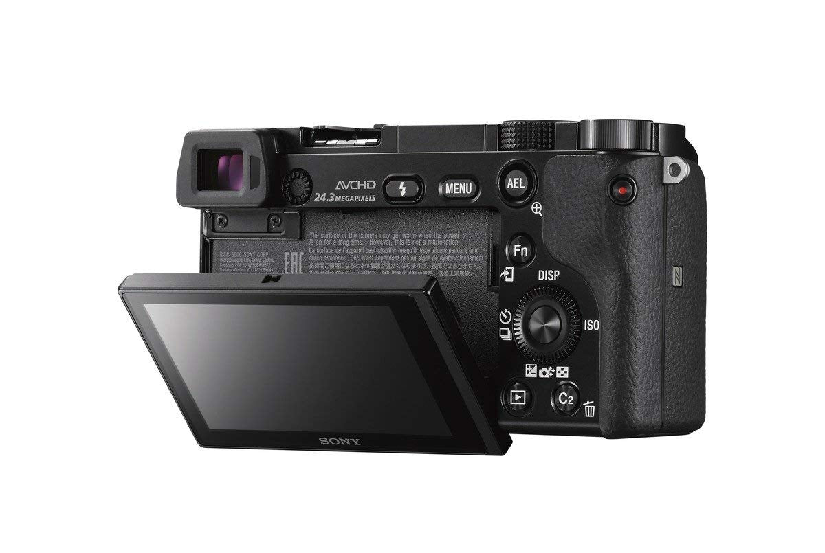 Sony Alpha a6000 24MP APS-C sensor captures sharp detail in varied light.