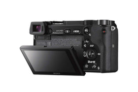 Sony Alpha a6000 24MP APS-C sensor captures sharp detail in varied light.