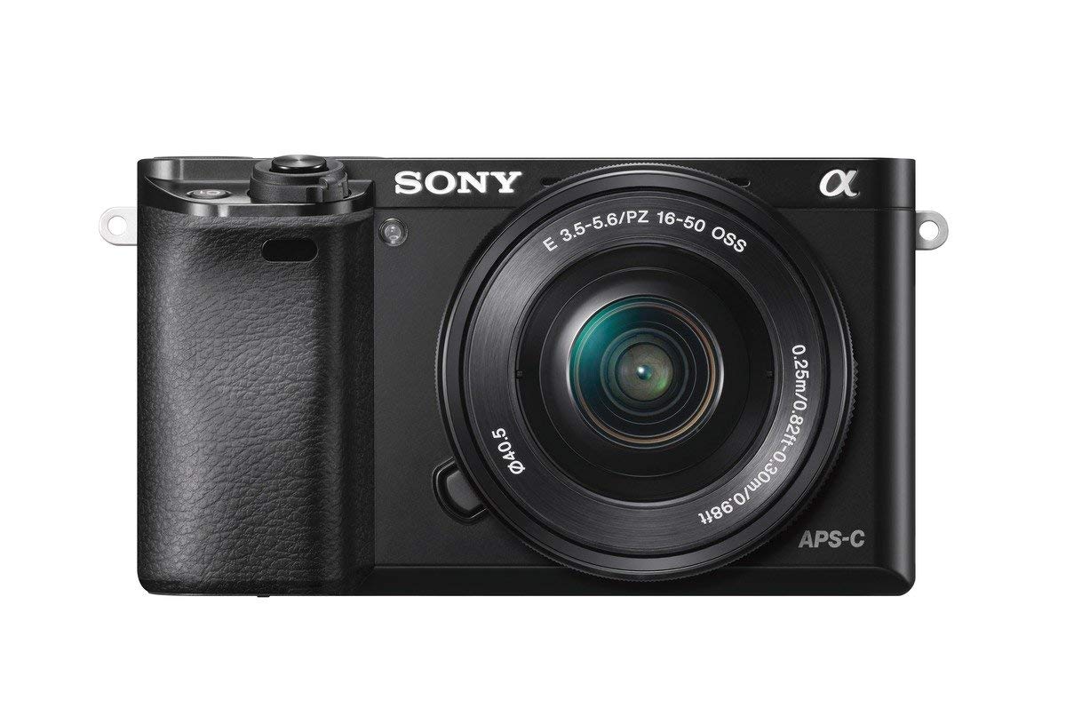 Sony Alpha a6000 with 55-210mm lens provides flexible reach for distant subjects.