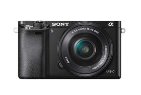 Sony Alpha a6000 with 55-210mm lens provides flexible reach for distant subjects.