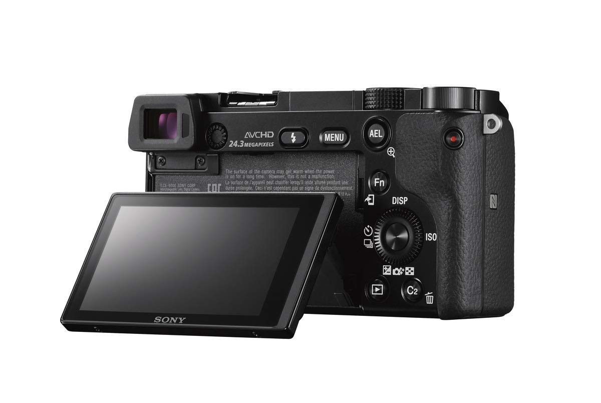 Sony Alpha a6000 OLED viewfinder shows precise framing.