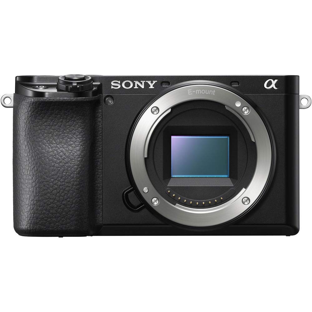Sony Alpha A6100 camera body highlighting the 24.2MP sensor detail for crisp daytime shots.