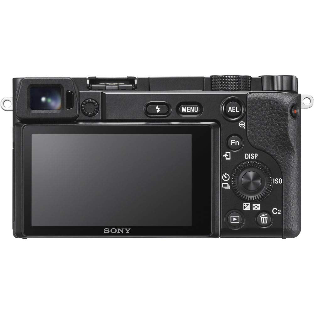Sony Alpha A6100 demonstrates wide AF point coverage across the frame.