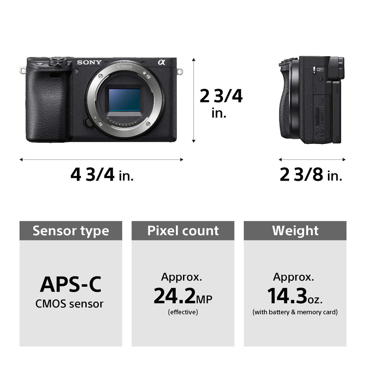 Sony Alpha a6400 showing wide sensor coverage for consistent focus across scenes.