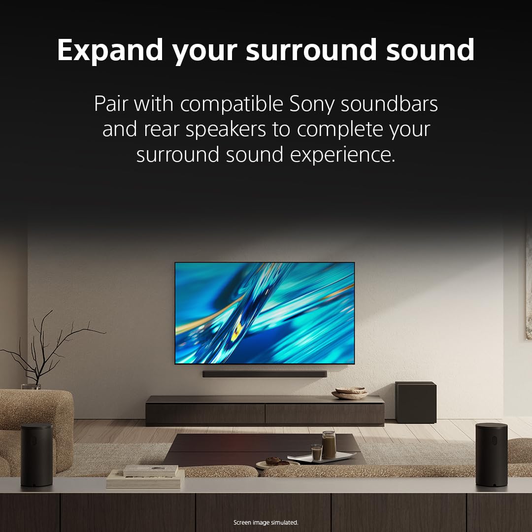 Sony BRAVIA Sub-9 rear ports for easy wireless integration with soundbars.