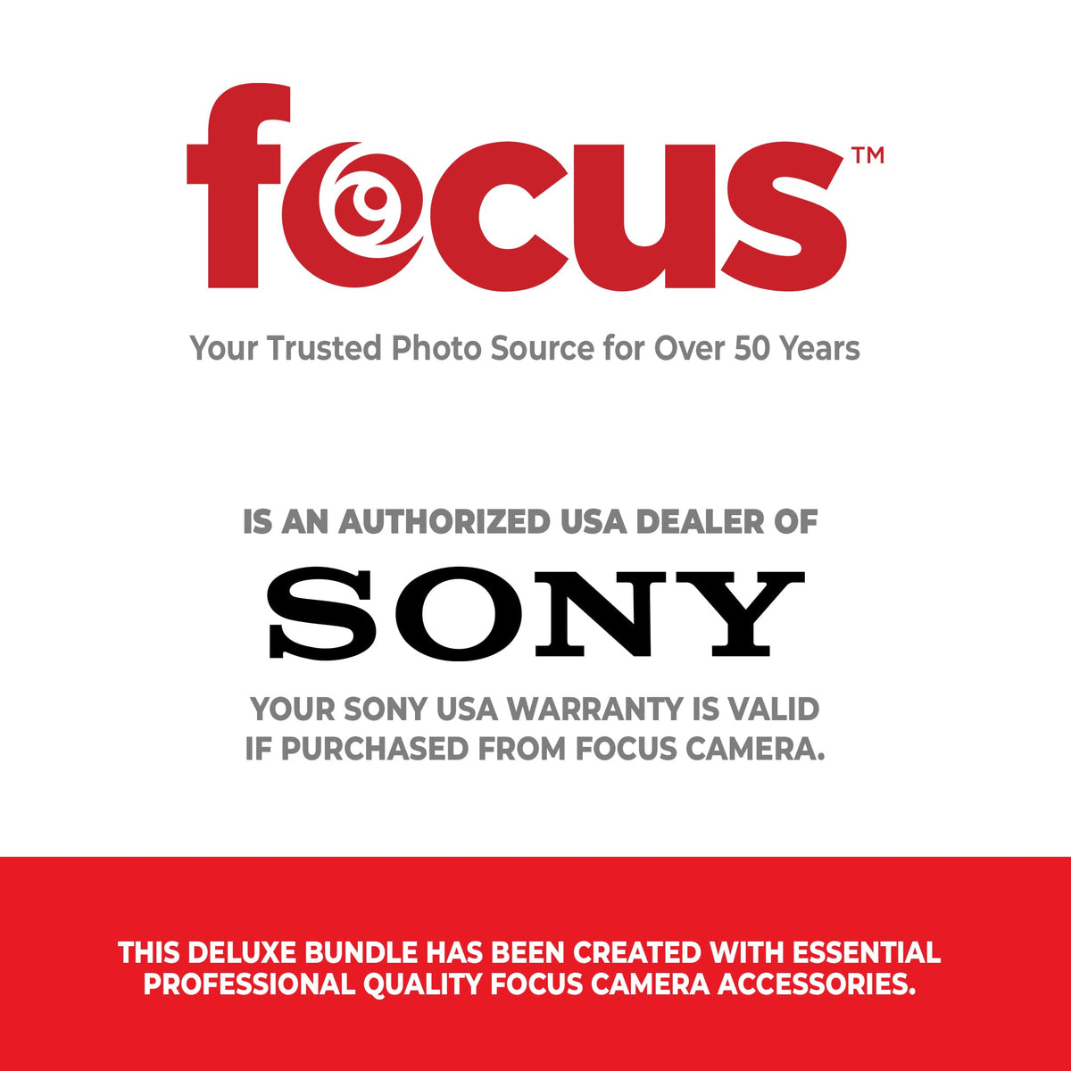 Sony Cyber-shot DSC-H300 back panel with intuitive controls.