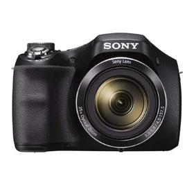 Sony Cyber-shot DSC-H300 35x zoom close-up for distant subjects.