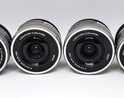Sony SEL 16-50mm retractable design makes it highly portable.