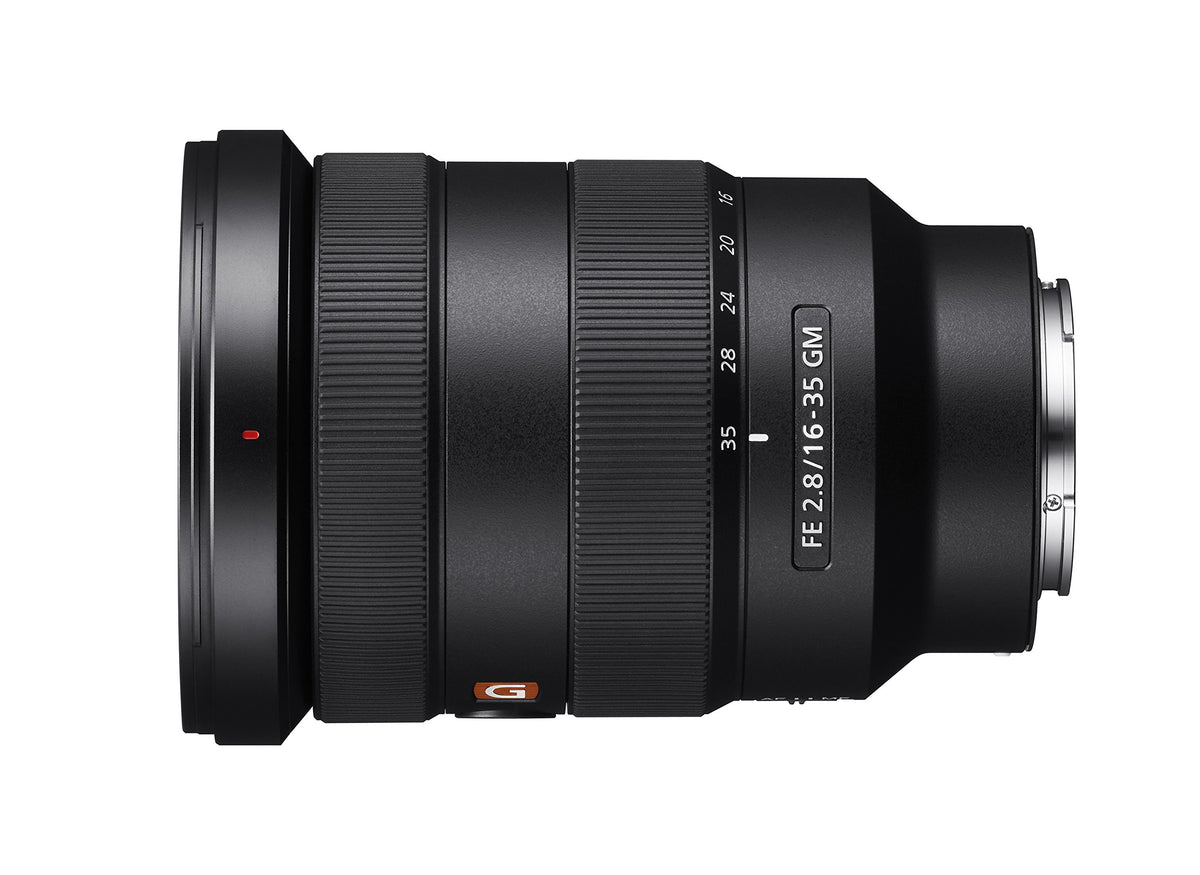 Sony SEL1635GM bokeh quality promises smooth background separation.