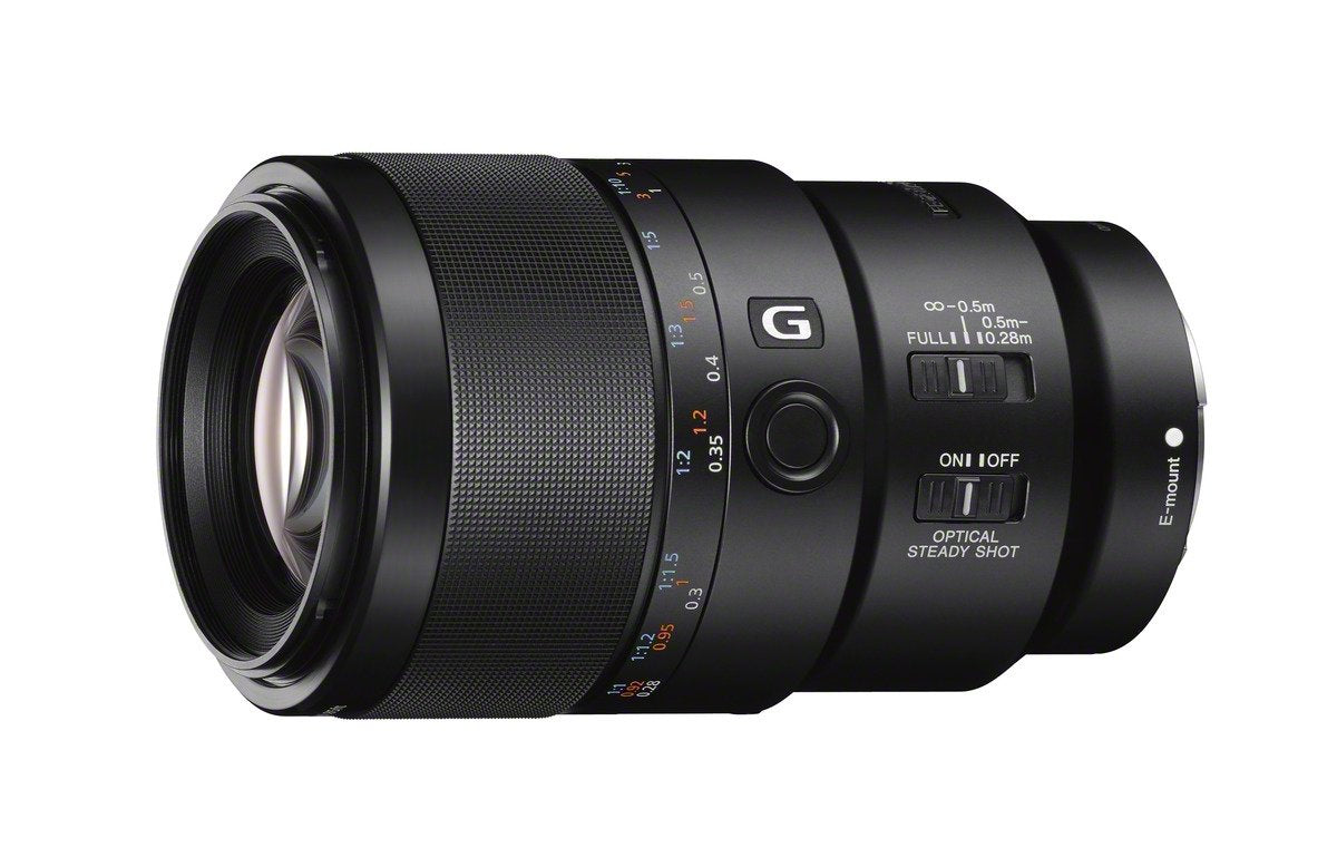 Sony SEL90M28G macro close-up reveals sharp detail with 1:1 magnification