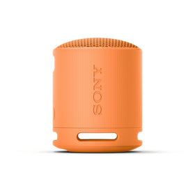 Sony SRS-XB100 in car cupholder scale comparison showing small size convenience