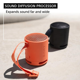 Sony SRS-XB100 textured surface and UV coating detail demonstrating outdoor durability