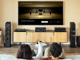 Sony STRAZ1000ES rear ports for flexible multi-room connectivity