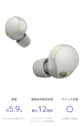 Sony WF-1000XM5 noise isolation earbud tips provide a secure seal.